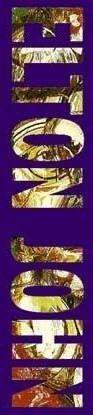 /user/ejside.jpg